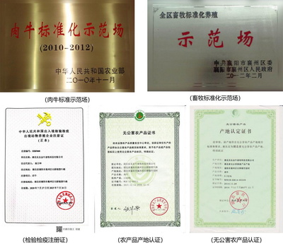 70年歷史國(guó)企推出“豚點(diǎn)”牛肉 供港品質(zhì)惠及武漢市民